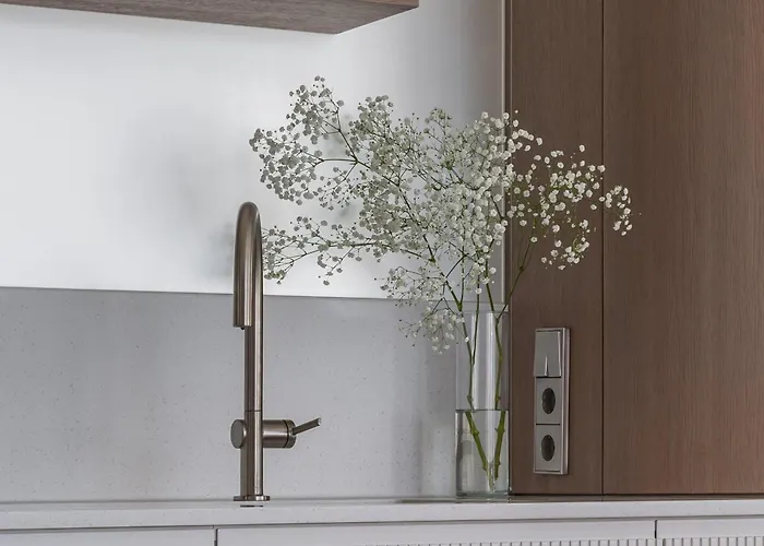 Apartment Cohost L Vanagupes Vilos With Terrace